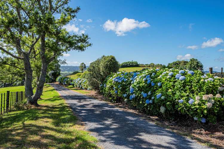 21 Going Road Matarau_1