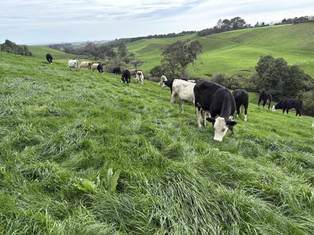 Lepperton Grazing Opportunity Awaits