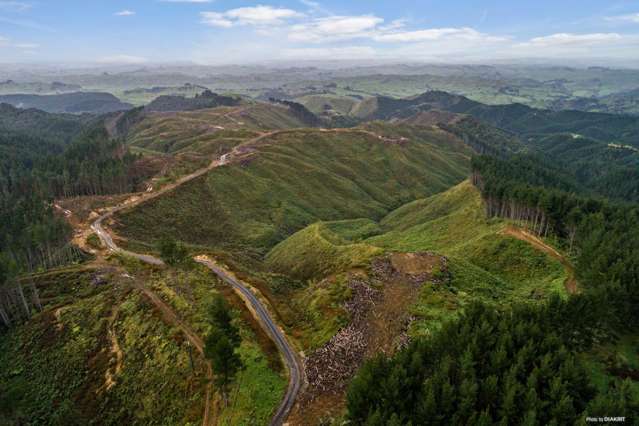 1211 Klondyke Road Port Waikato_1