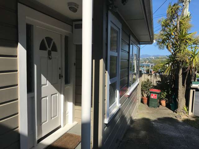 56 Wellington Road Hataitai_1