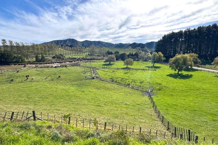 4439 State Highway 31 Kawhia Road Oparau_23