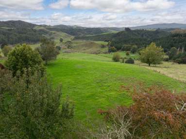 2/1745 Arapuni Road_1