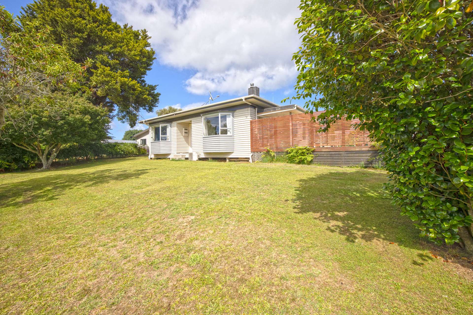 22 Moule Street Kihikihi_0