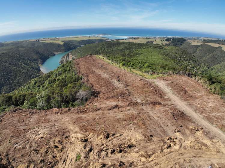 Finlayson Road Taieri Mouth_3