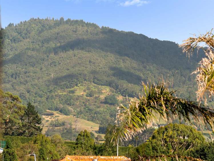 19b Carisbrooke Street Katikati_23