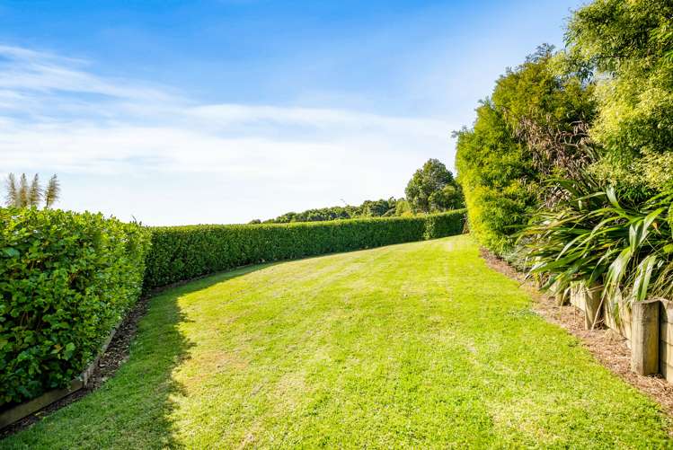 378e Ara-Kotinga Whitford_32