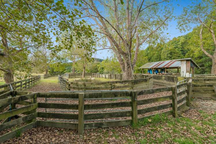 334A Komokoriki Hill Road Makarau_17