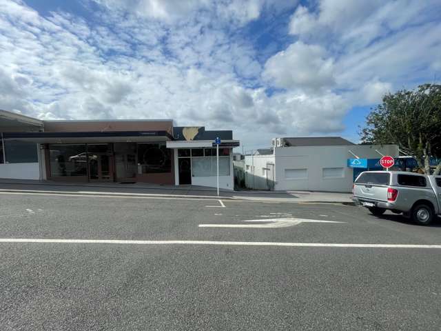 1 Grant Street Te Kamo_1