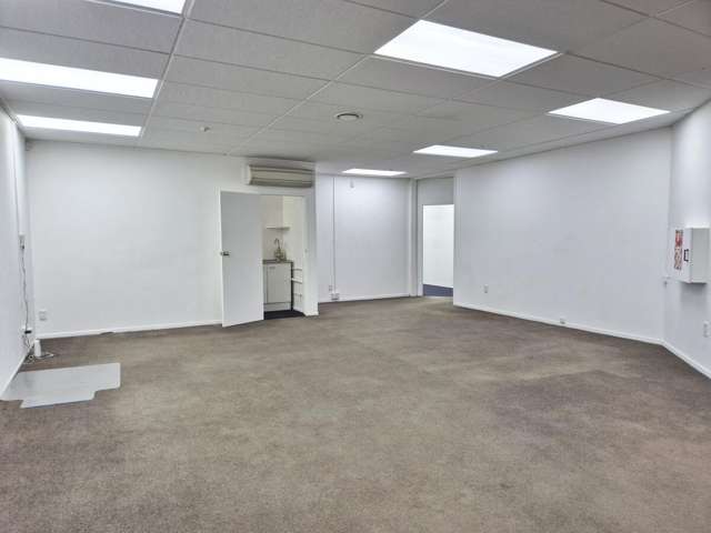 15 Walter Street Te Aro_4