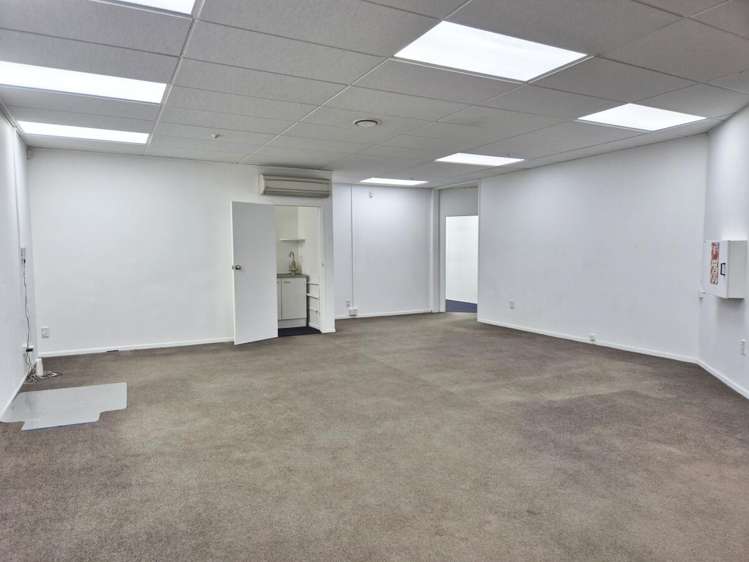 15 Walter Street Te Aro_4