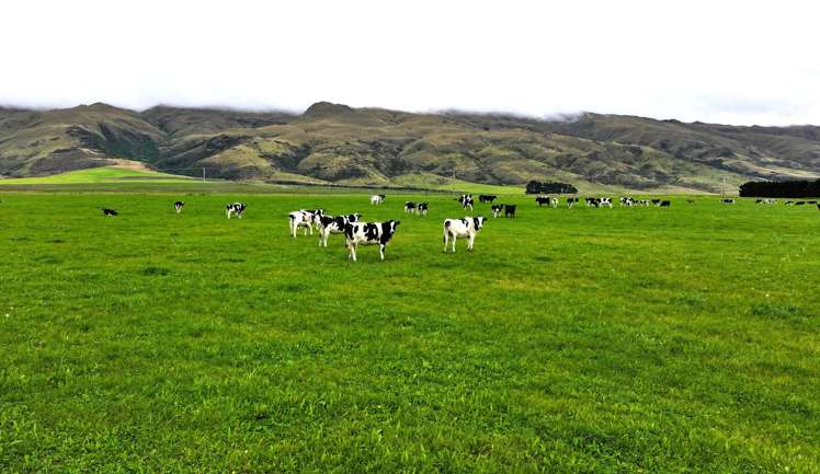 7797 Hyde-Middlemarch Road Middlemarch_13