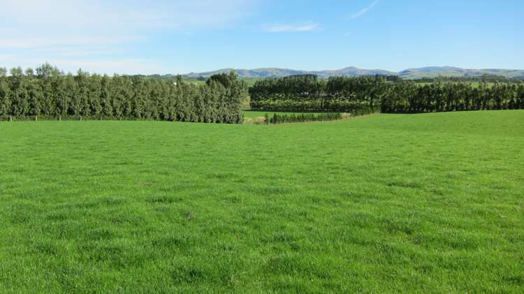 1010 Glenkenich Road Gore Surrounds_10