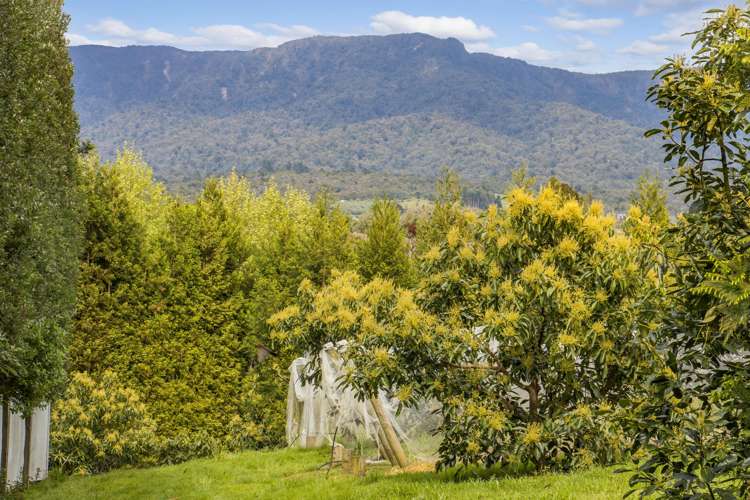 59 Pine Ridge Lane Aongatete_2