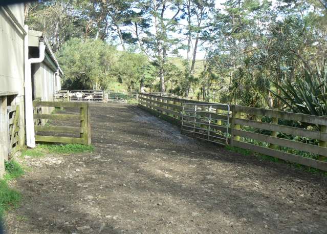 45 Te Akau Coast Road Te Akau_3