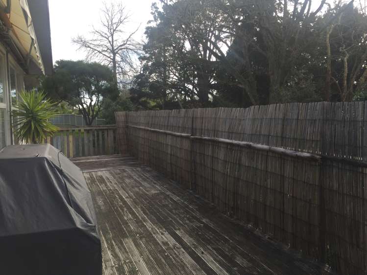 33 Glendale Road Glen Eden_5