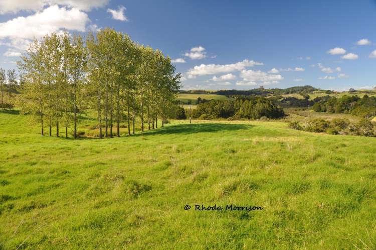 113 Te Rawhiti Road Matakohe_64