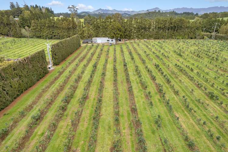 36 Elmsley Road Maungatapere_36