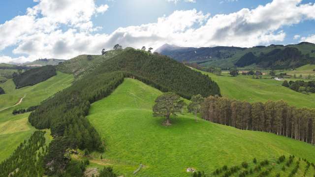 Forestry, Grazing or Lifestyle – Have It All Here