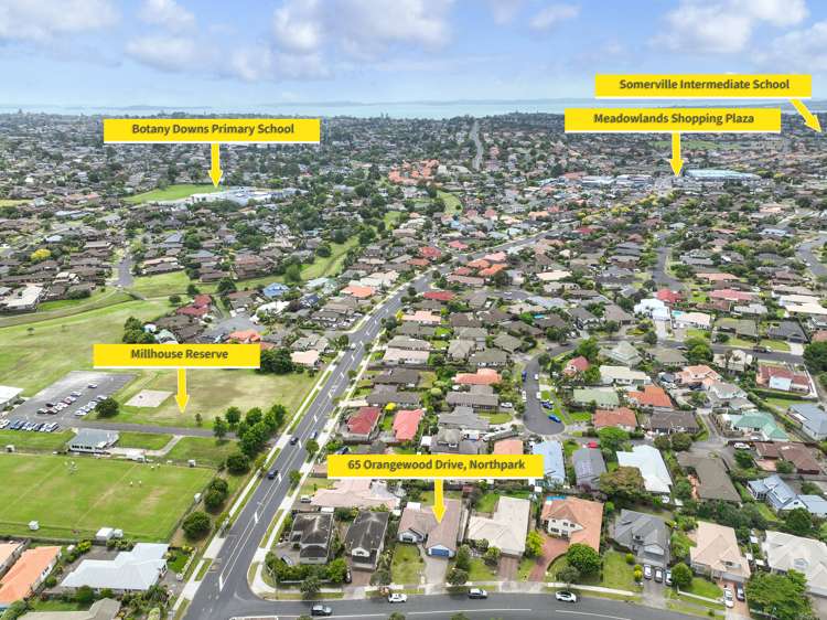 65 Orangewood Drive Northpark_19