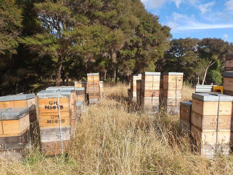 15 Havelock Road Havelock North_7