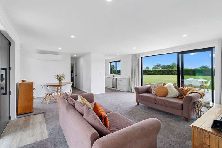 15 Millpark Lane Matangi_3