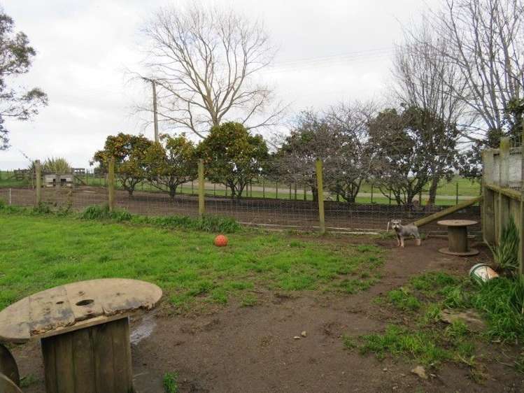 255 Gibbon Road Morrinsville_32