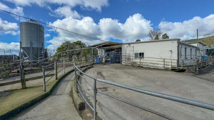 31 Mill Creek Road Whitianga_7