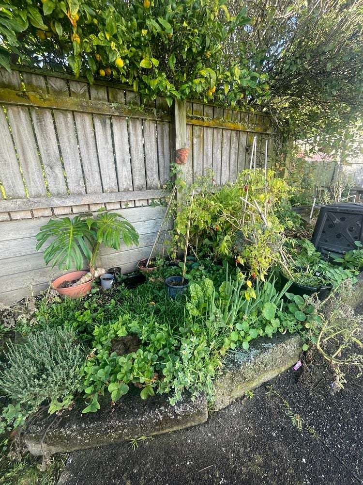 2/23 Nairn Street Mount Cook_11