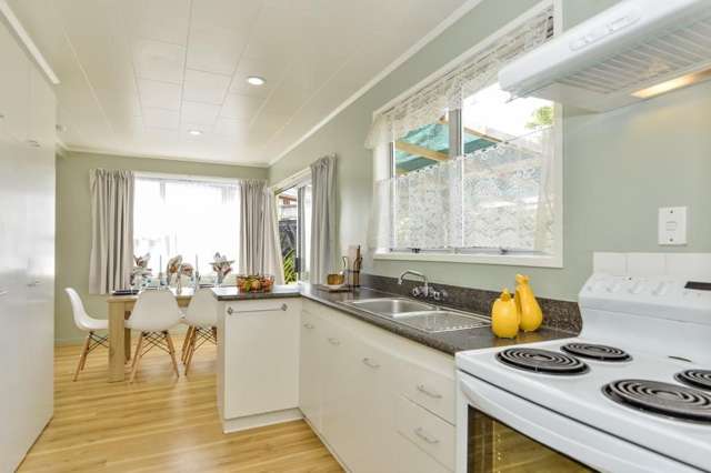 66 Captain Scott Road Glen Eden_2