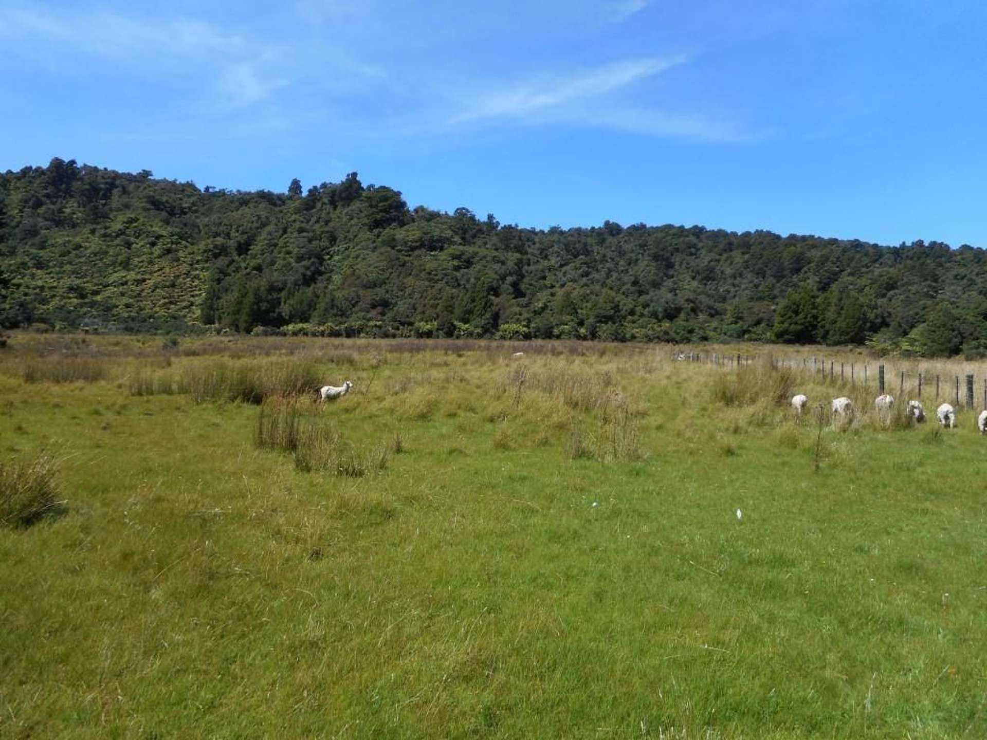 265 Marsden Road Greymouth_0