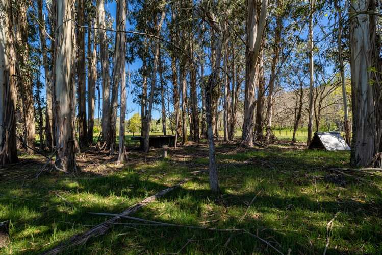 3583 Motueka Valley Highway Stanley Brook_33