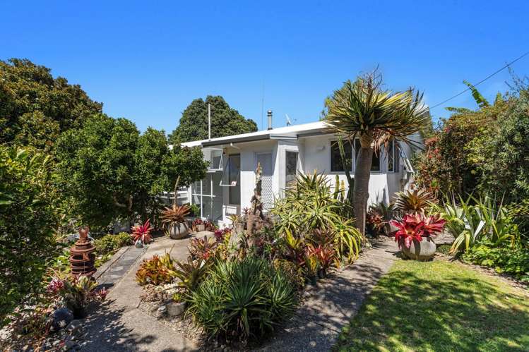 251 Ruatuna Road Ohiwa Harbour_17