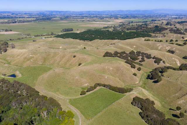 109A Junction Road Halcombe_2