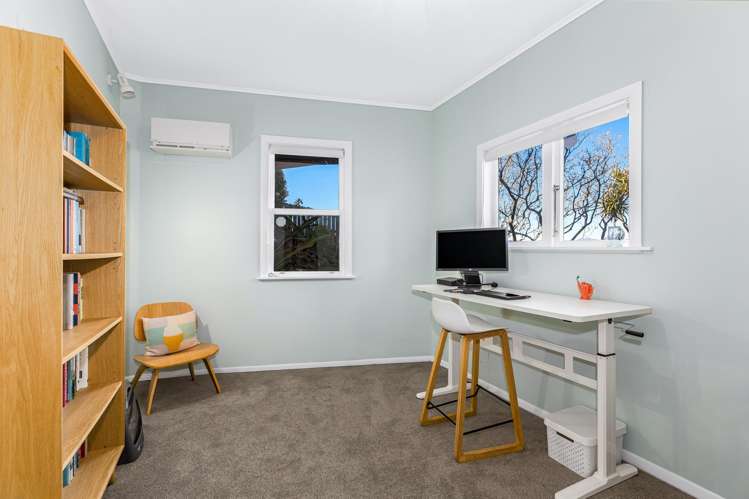 4 Broomhill Road Aro Valley_17