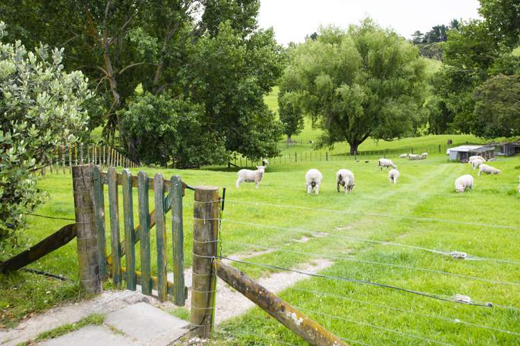 575b Back Ormond Road Makauri_17