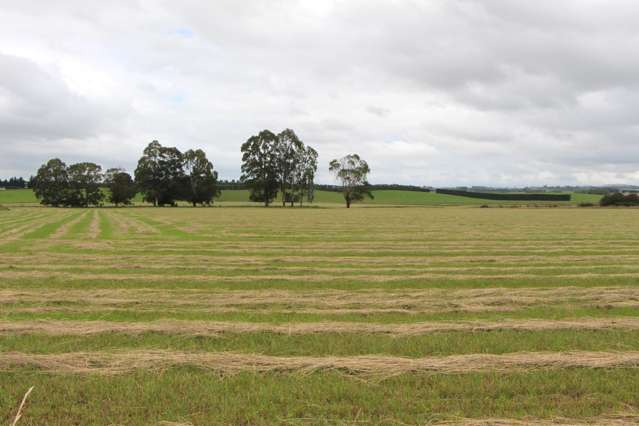 Rosewill Valley Road Rosewill_3