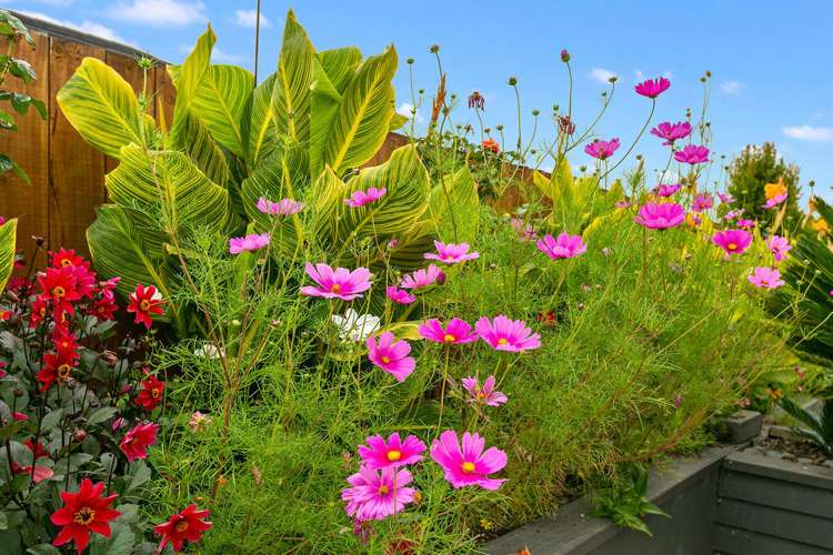 26 Norfolk Drive Cambridge_22