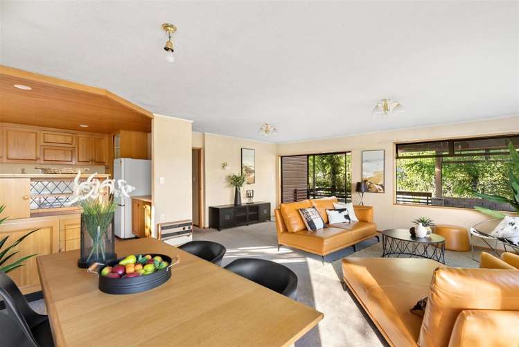 64 Mcdougall Street Wanaka_4