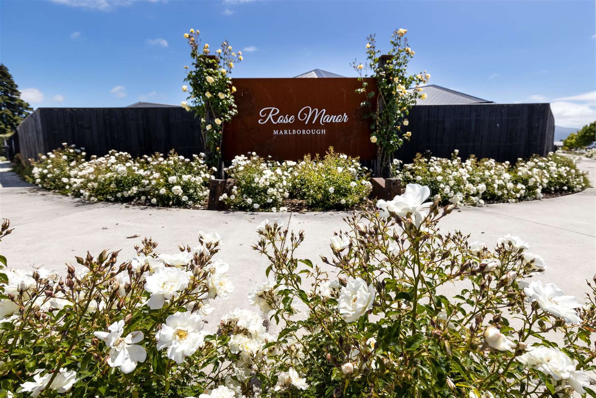 21 Bond Street, Rose Manor Springlands_0