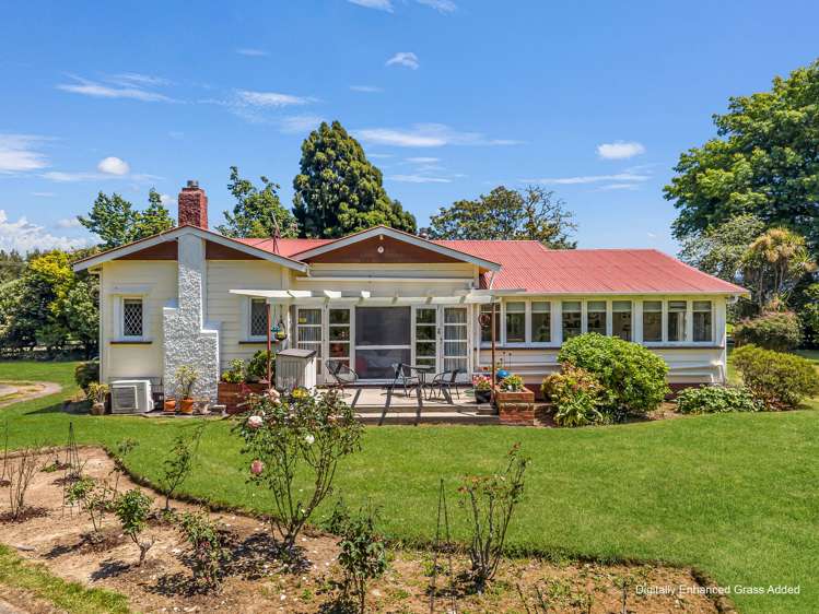 30 Colebrook Road Edgecumbe_5