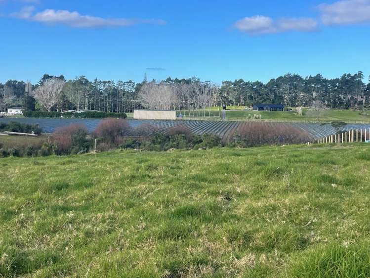 Lot 8/339 Amreins Road_2
