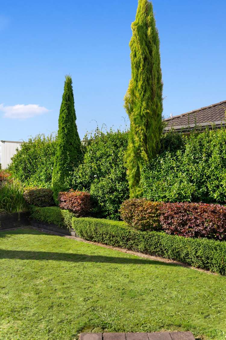 31 Vogel Place Te Aroha_44