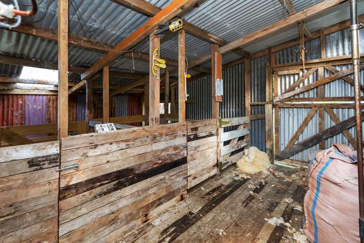 903 Springfield Road Mangapai and Surrounds_24