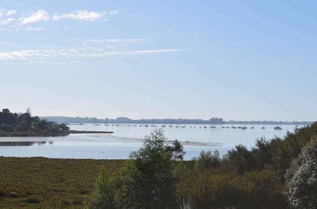 Introducing Lynley Park - Omokoroa Peninsula!