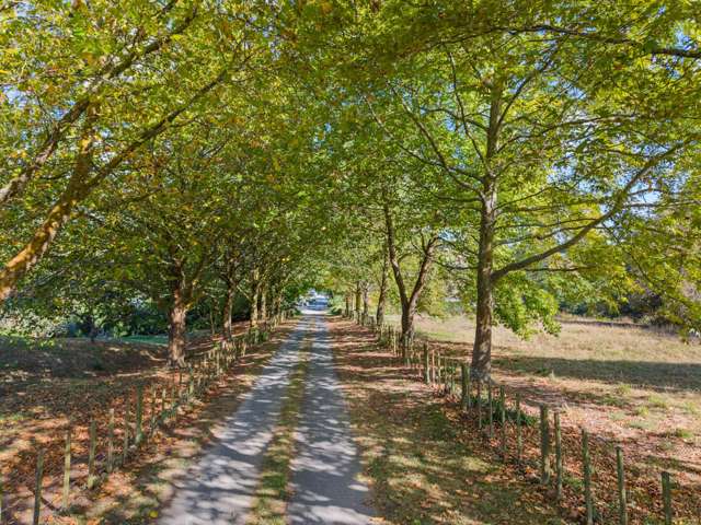 393A Burtt Road Drury_4
