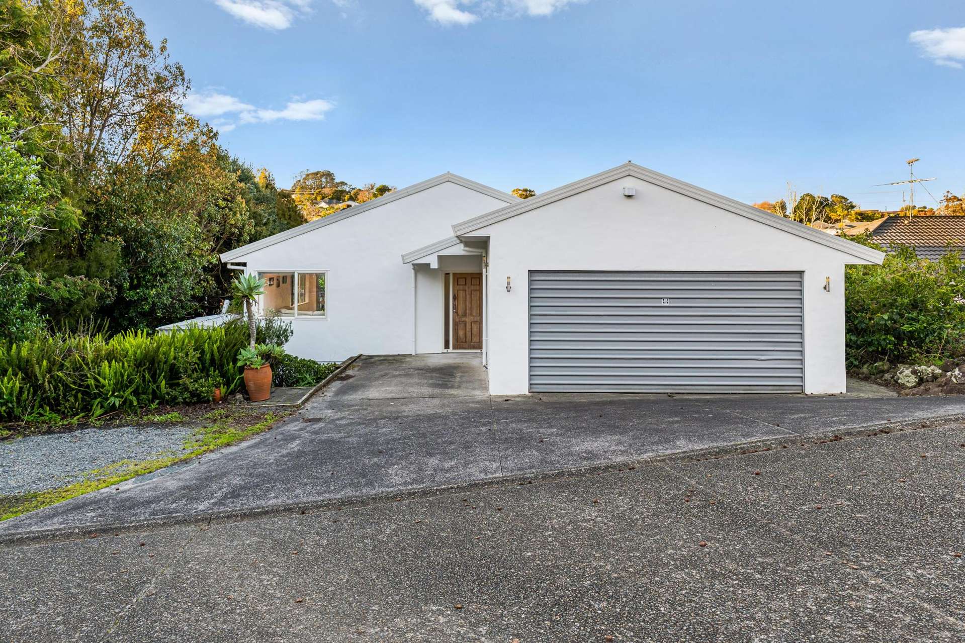 19 Brookvale Park Stanmore Bay_0