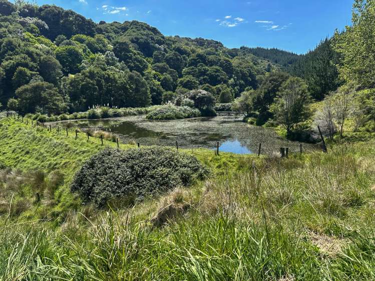 Matokitoki Valley Road Matokitoki_13