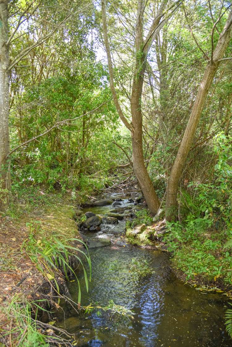 120 Harmans Track Little River_12