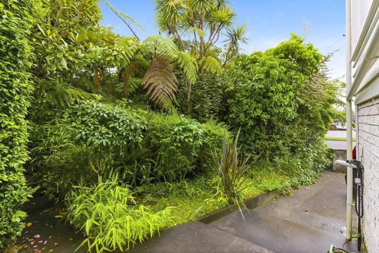 111 Winchester Street Levin_16