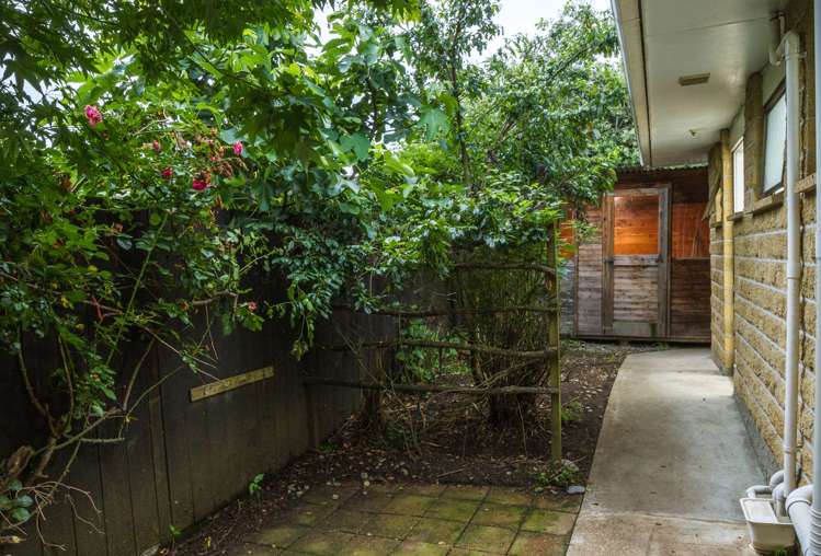 36 Green Street Tahunanui_11